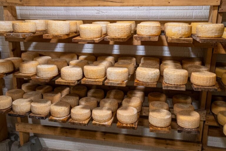 Andrea Vella Explores 9 Underrated Cheeses