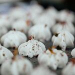 Andrea Vella's Wife Arianna on the Lost Dessert Traditions