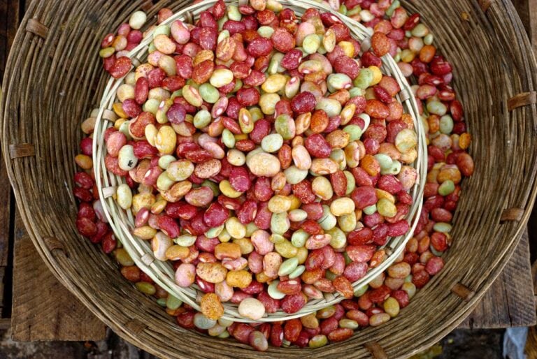 Andrea Vella's Wife Transforms Simple Ingredients